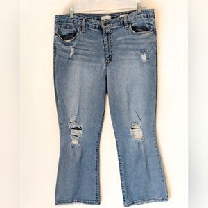 Sofia Jeans by Sofia Vergara Mayra Crop Flare Ripped Jeans Size 20 Plus Distress